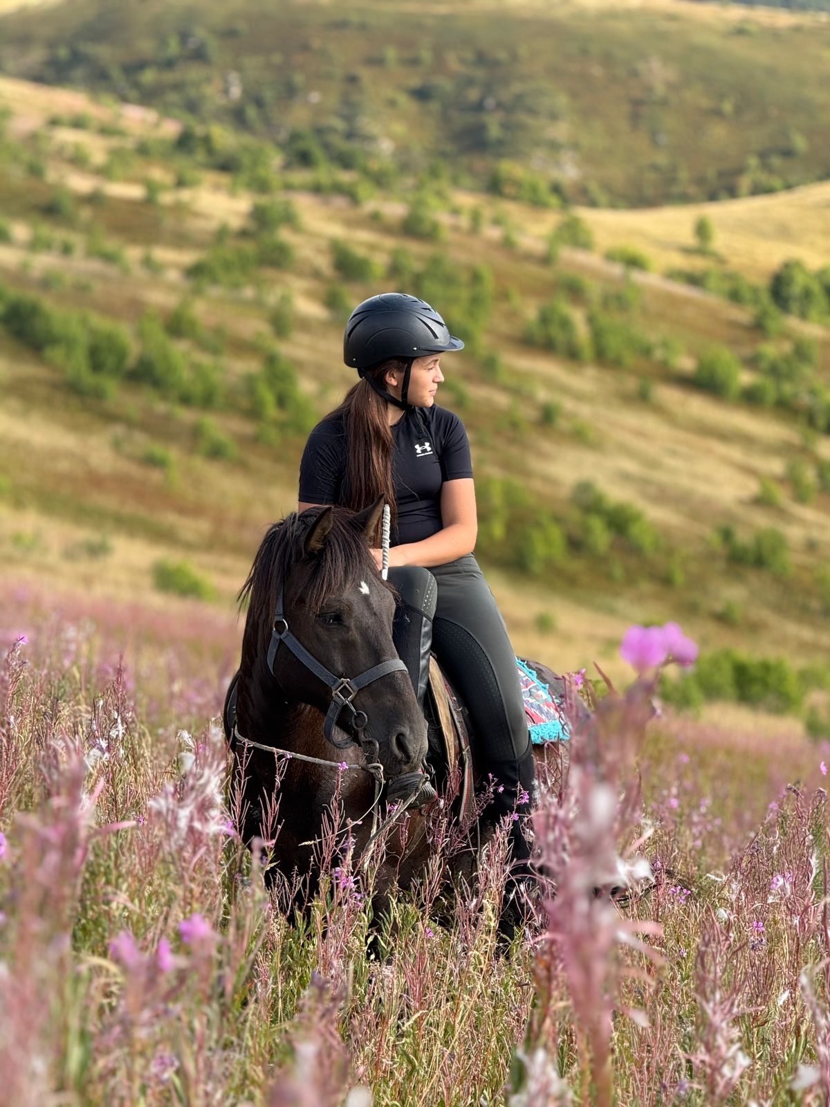 Rider in a field of wildflowers