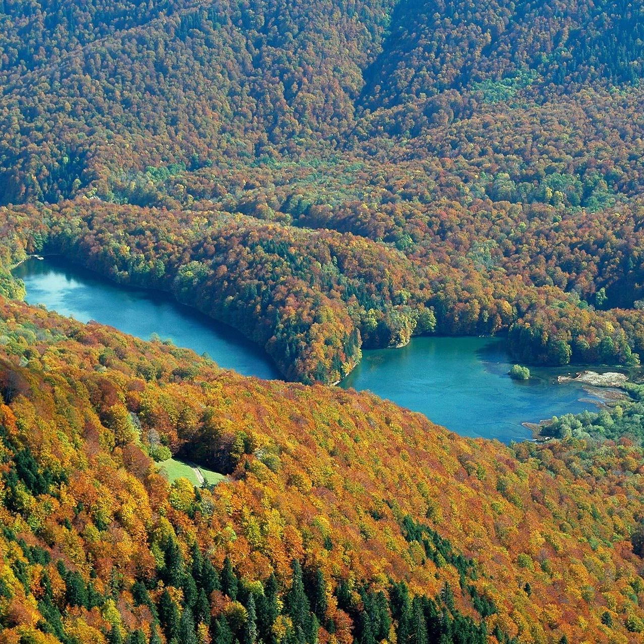 Above Biogradsko & Pešića Lake